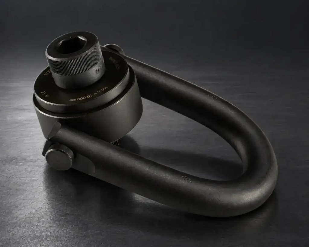 Hoisting Ring